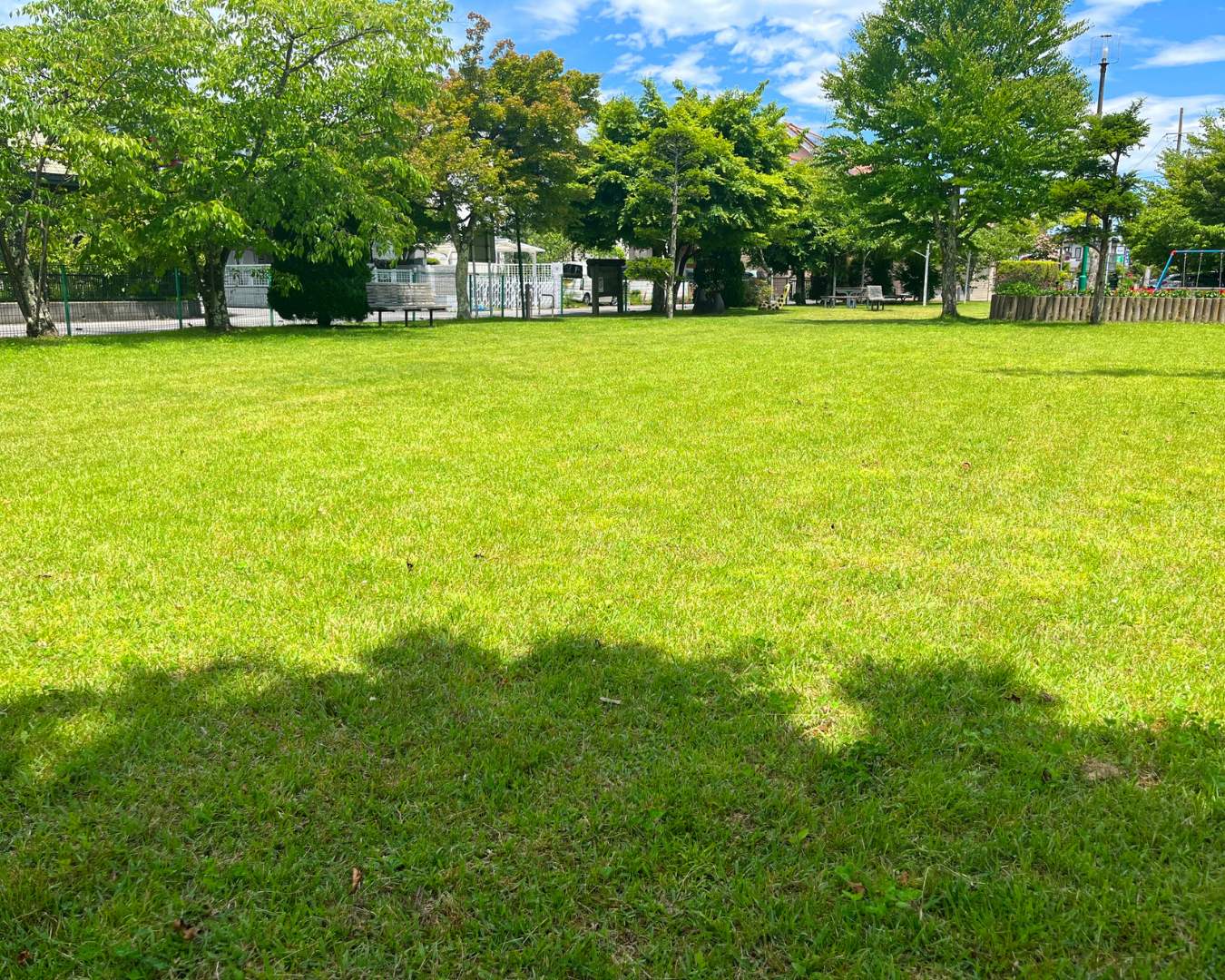 Residential landscaping and yard maintenance
